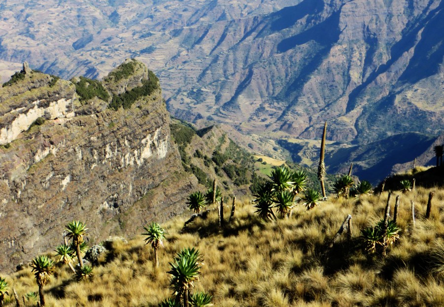 Ethiopia, Simien Mountains, Ethiopia travel, Gondar