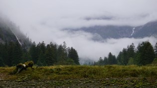 Mussel Inlet, Great Bear Rainforest, Elizabeth Around the World