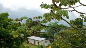 Río Blanco, Lenca, Honduras, Indigenous rights, COPINH, rural Honduras, Honduras itinerary, Intibuca