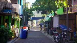 El Tunco, El Salvador, Papaya Lodge, travel El Salvador, El Salvador itinerary, Elizabeth Around the World