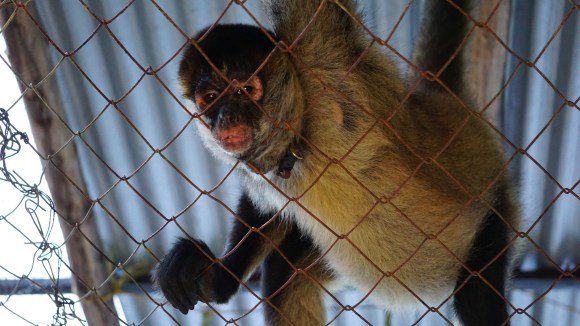 Sunday Funday, Casa de Olas, San Juan del Sur, Nicaragua, Nicaragua itinerary
